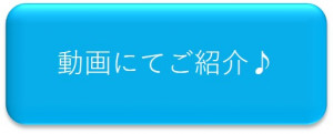 動画紹介