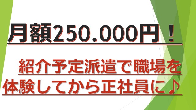 4月12日現在、30名以上エントリー!月給250.000円スタート☆《千代田区》☆安定の電子カルテ会社の正社員に! イメージ