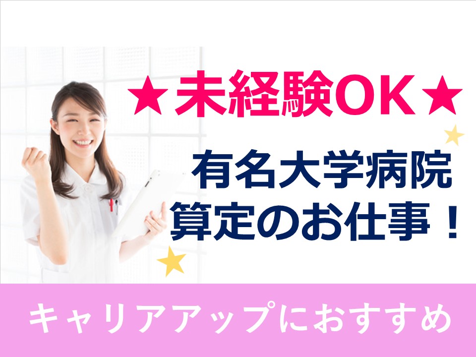 【大田区】未経験OK\東邦大学大森病院/外来算定・レセプト★はじめてでもOK!20~30代活躍中! イメージ