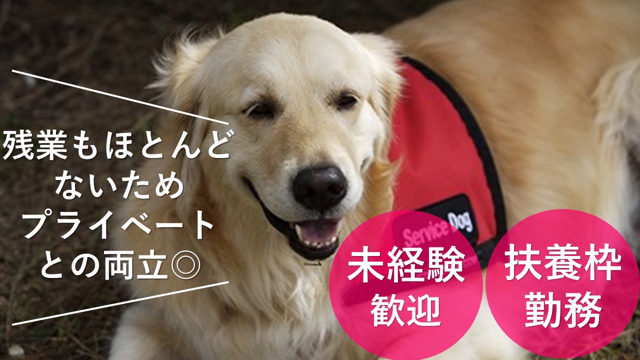 日数・勤務時間相談OK/レアな動物病院の受付【墨田区】未経験歓迎の扶養内です イメージ