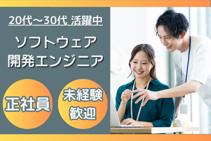 ソフトウェア開発エンジニア ソフトウェア開発エンジニア